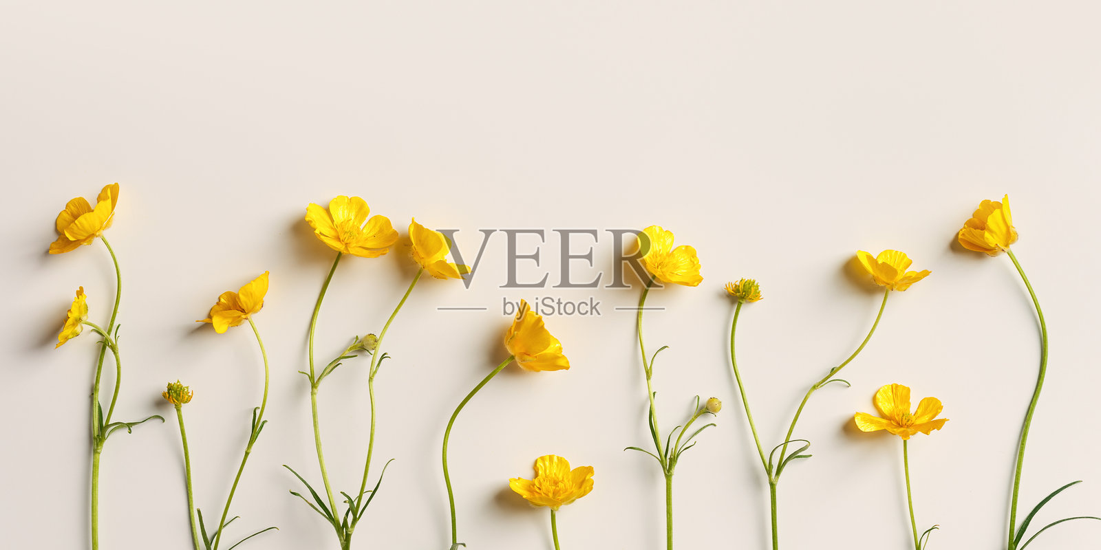 那值扶花艺